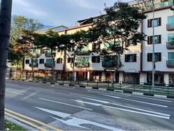 Eng Hoon Street (D3), Shop House #567460661